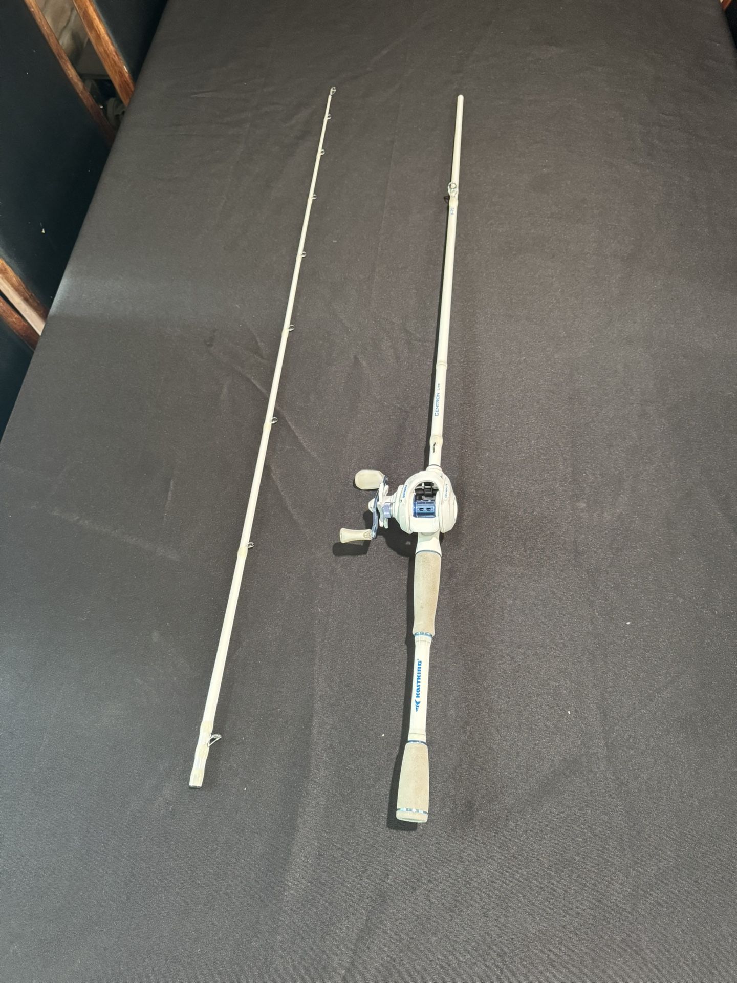 Fishing Baitcaster