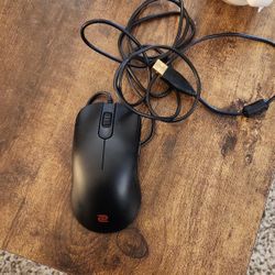 BenQ Zowie FK1+ Gaming Mouse
