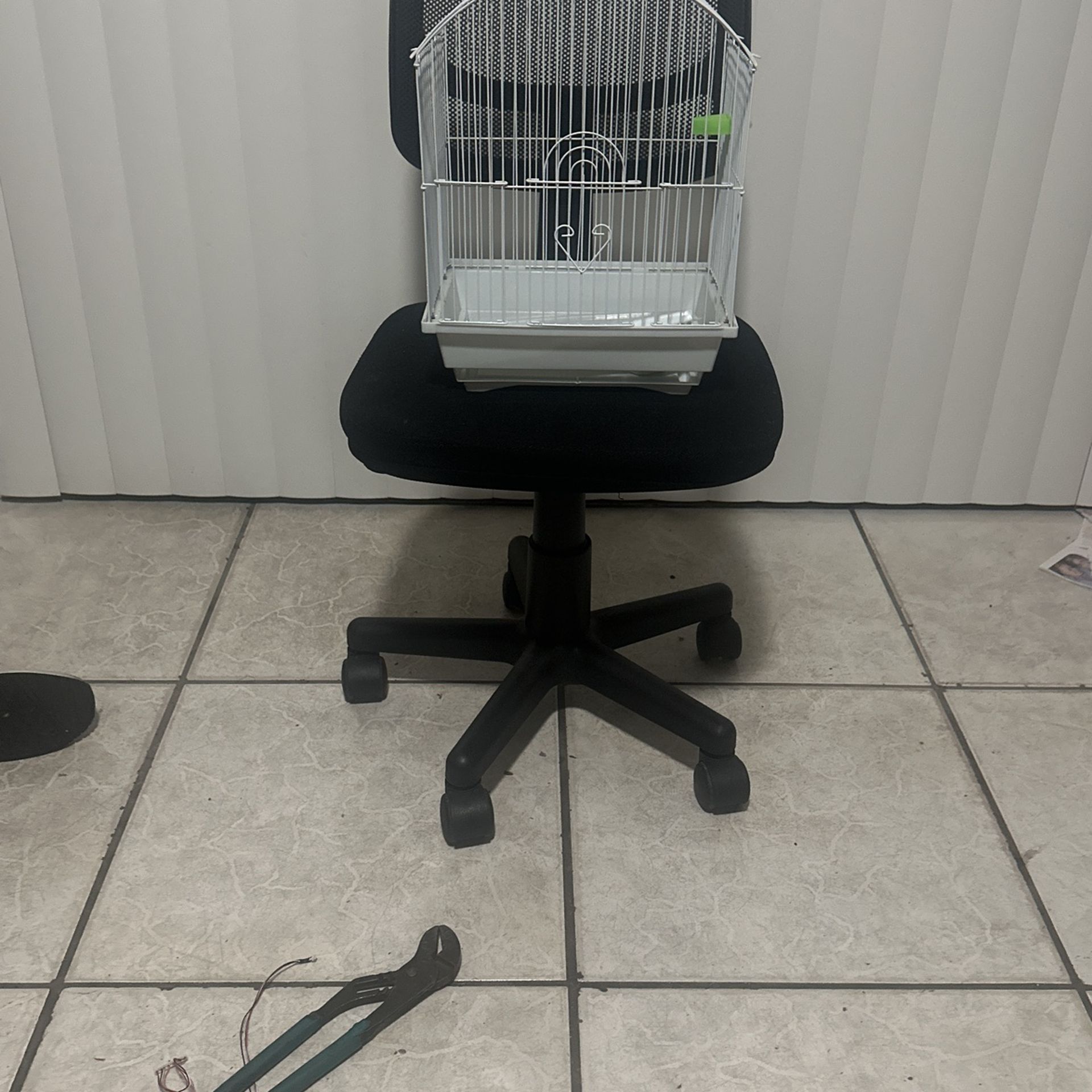 Bird Caye Good Condición