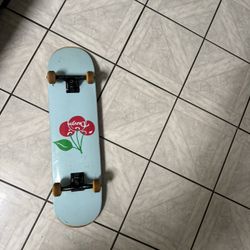 Skateboard