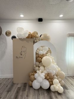 Balloon Backdrop