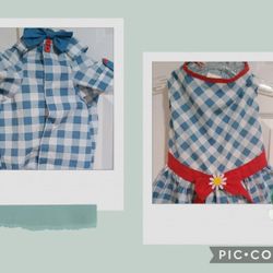 Dress And A  Matching Shirt For Your Girl And Boy Dog