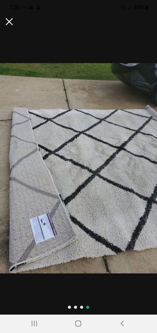 Gorgeous HUGE Area Rug