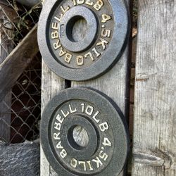 10 Lb Weight Plate Pair