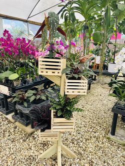 Orchid Basquets Tower.