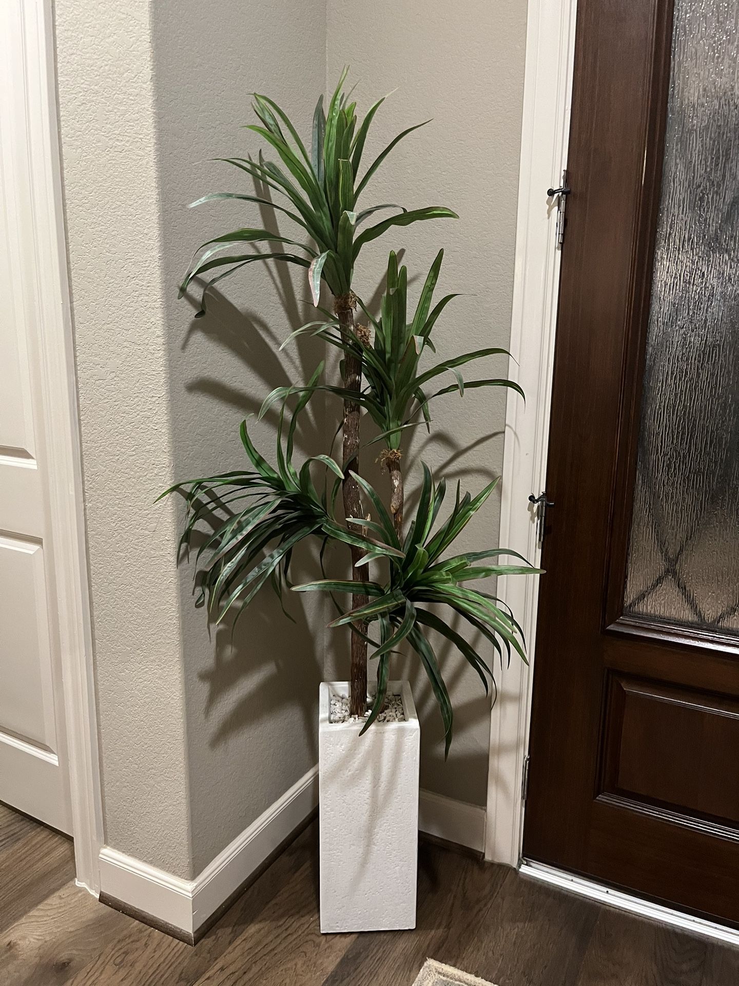 Faux 6’plant