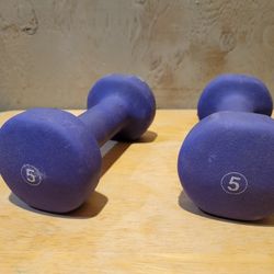 Pair of 5lbs Dumbbells