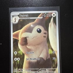 Furret Pokémon 