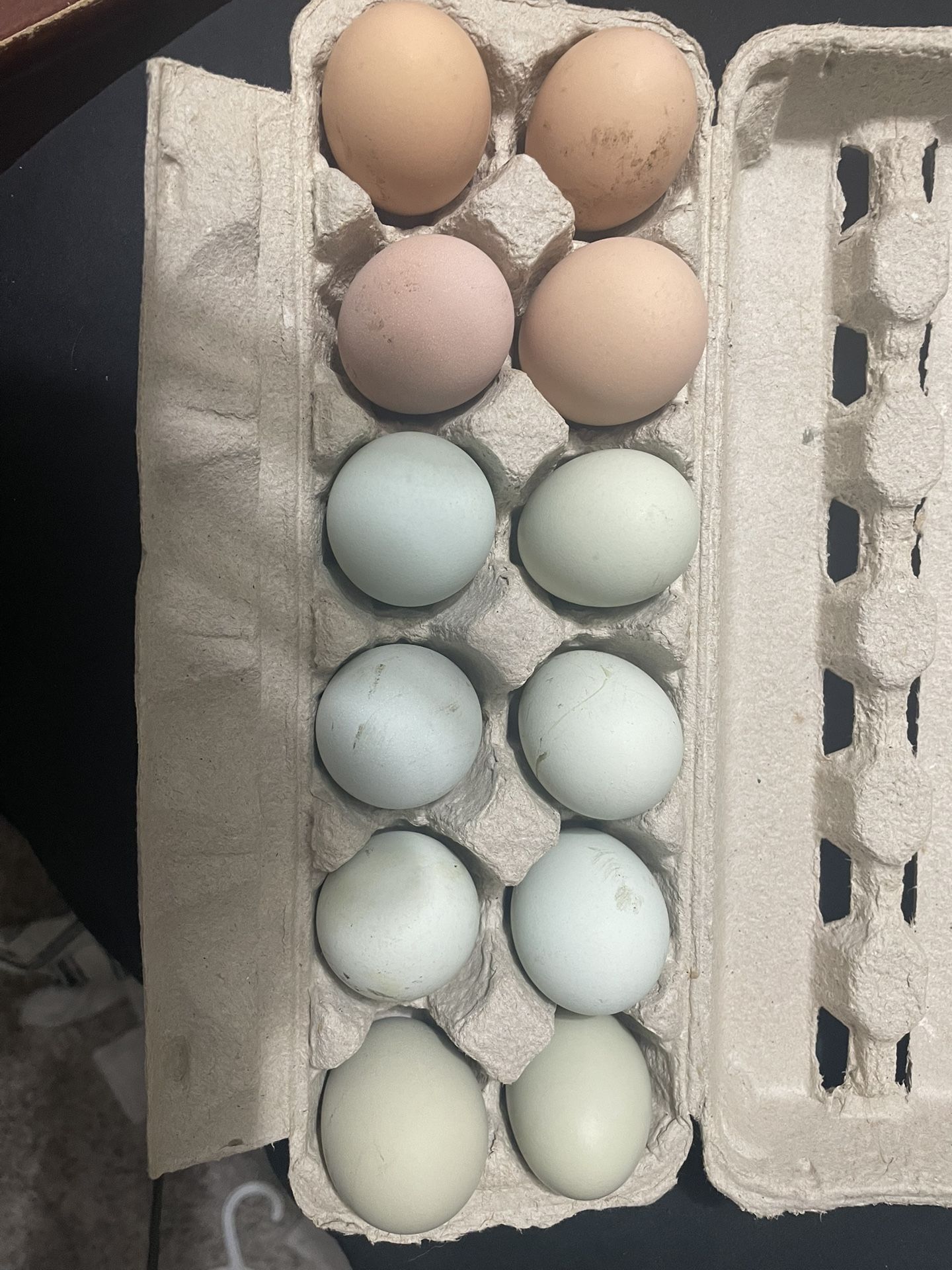 Yard Eggs
