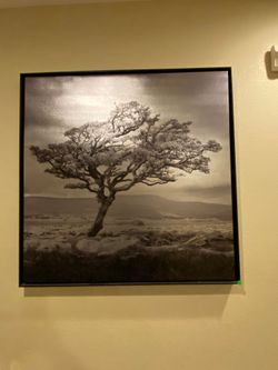 Wall art