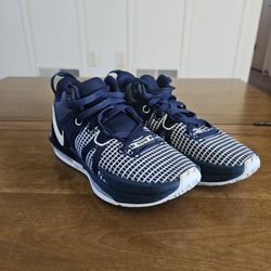 Nike LeBron Witness V11 Midnight Navy Blue Men's 5.5