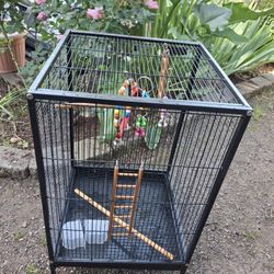 Birds Cage 