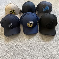 Nike Michigan & New Era Detroit Lions Flex Fit Hats