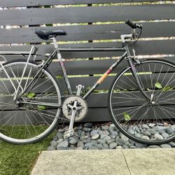 Vintage Fuji Single Speed Bicycle 