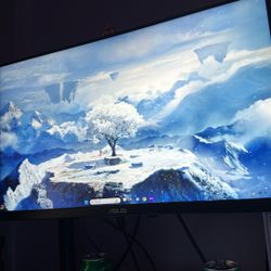 Asus Gaming Monitor 165 Hz Overclocked Monitor 