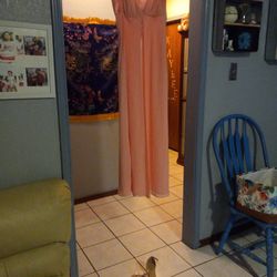 Evening  Dress And Shoes 