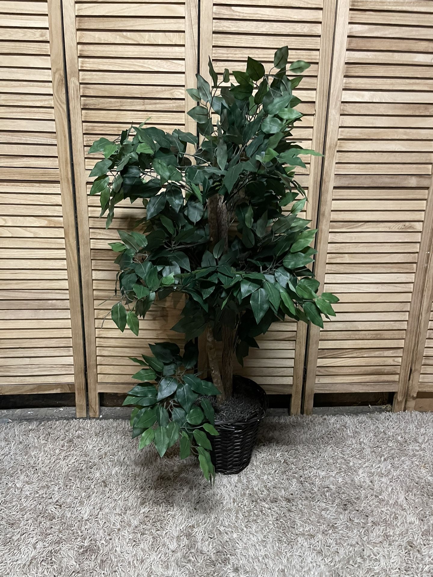 Artificial Ficus Tree
