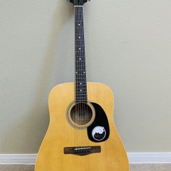 Rogue RD 80 Acoustic Guitar