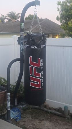 Punching bag.  UFC