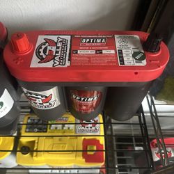 6 Volt Optima Battery