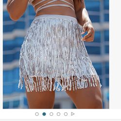 Sequin Skirt