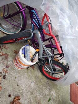 Fat Tire Kids Bike