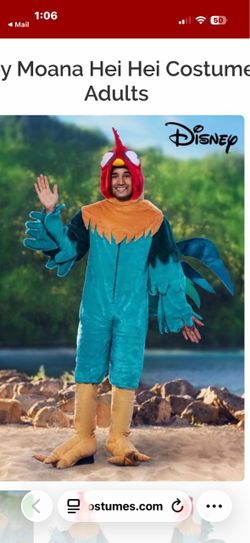 Hei Hei costume from Moana size L