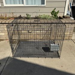 Pet Cage 