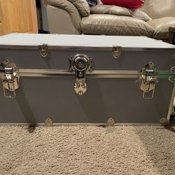 Large Rhino Trunk 