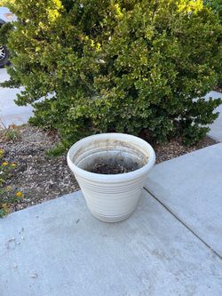 Plant pot $5
