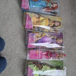 Disney  Princess Dolls (Hasbro)