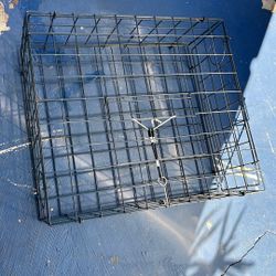 Foldable Crab Trap