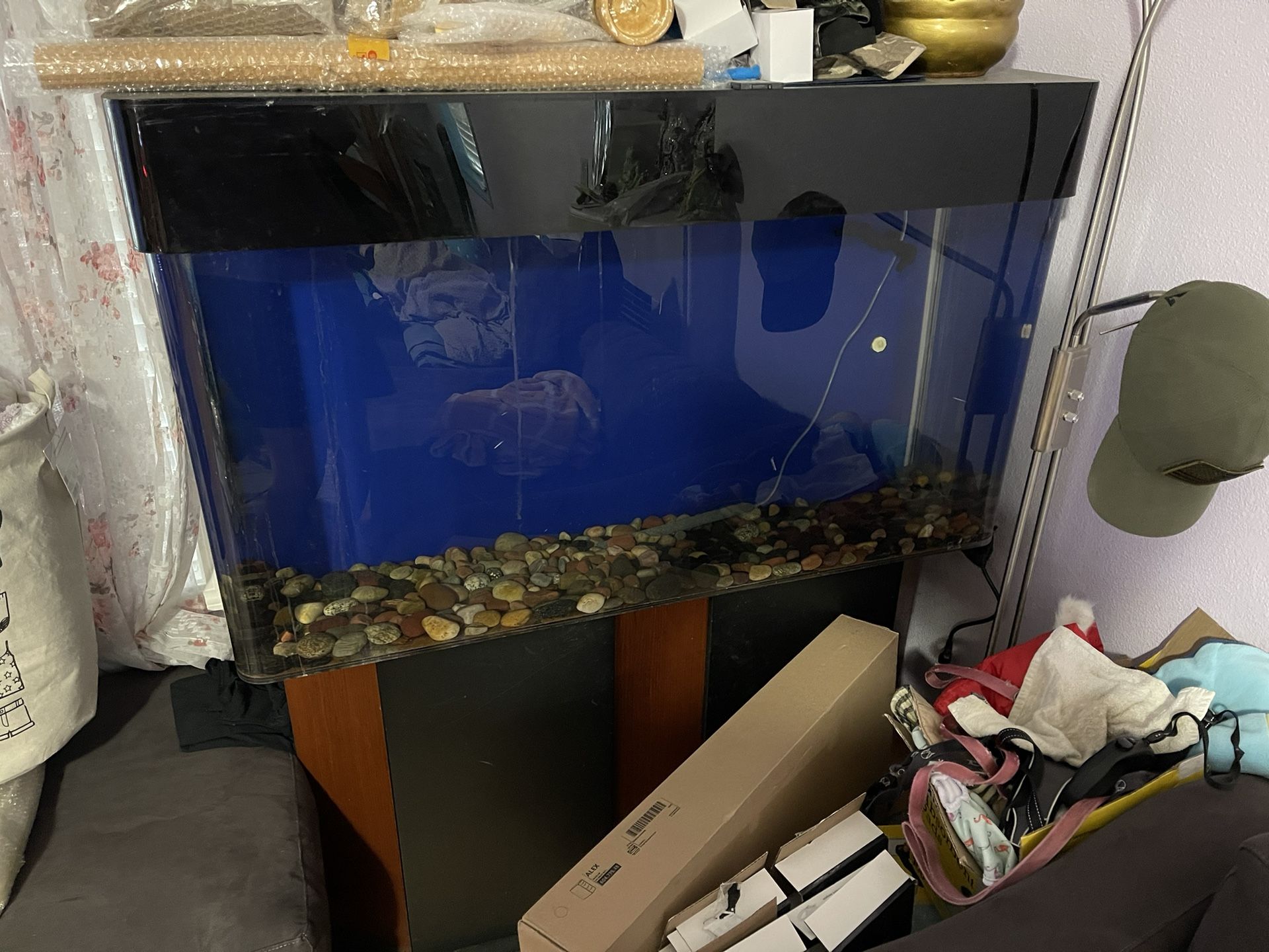 Fish Tank With Cupboard Stand