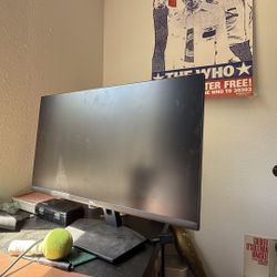 Dell Gaming Monitor 