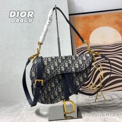 Dior saddlebag 