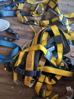 Sala Harness