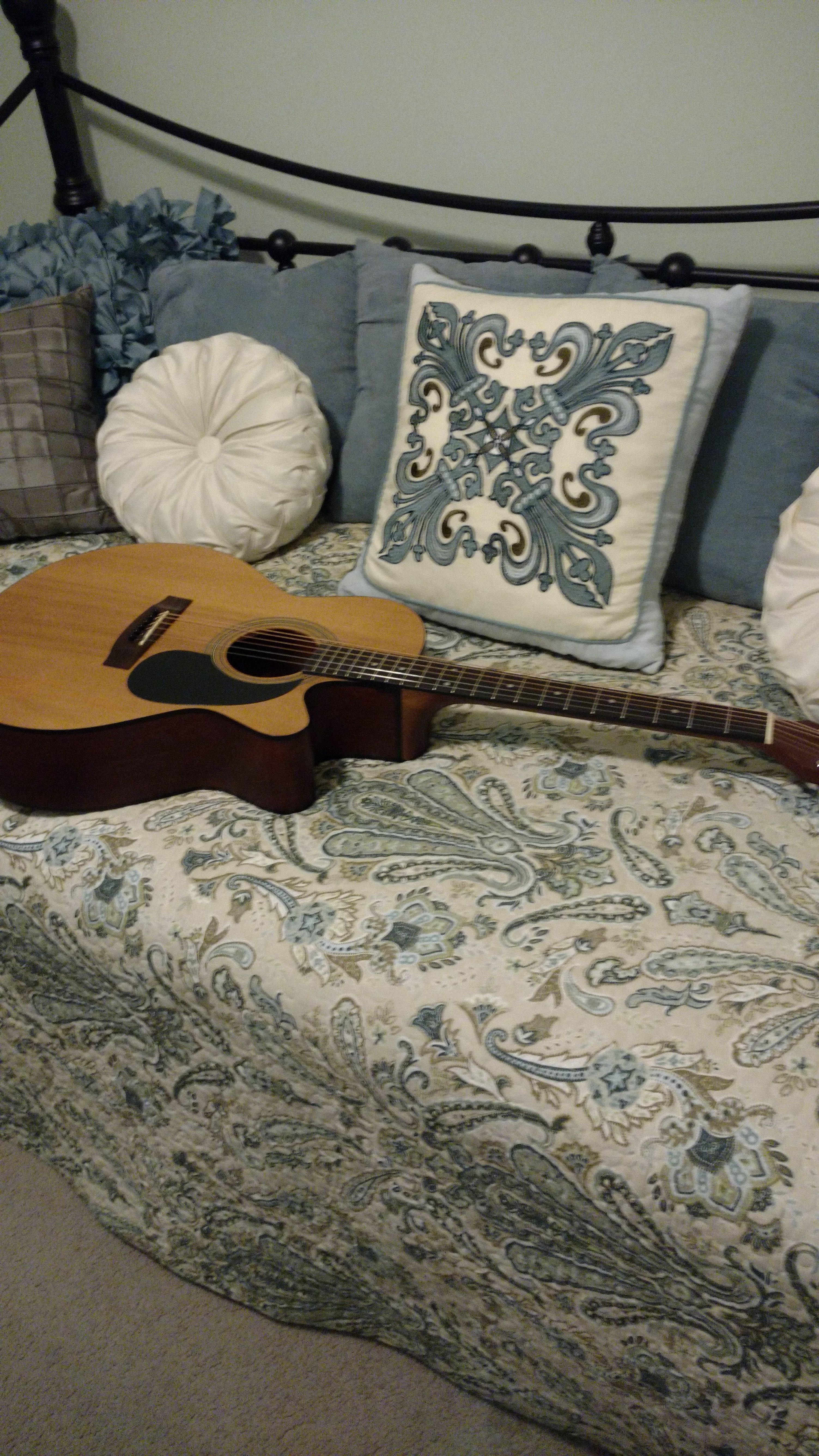 Takamine Jasmine guitar