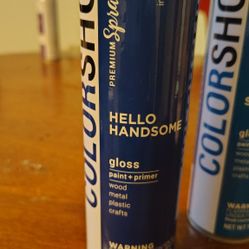 Hello Handsome Blue Spray Paint