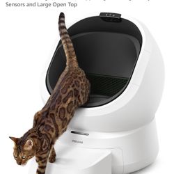 Automatic Litter box