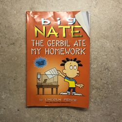 Big Nate The Gerbil Ate My Homework