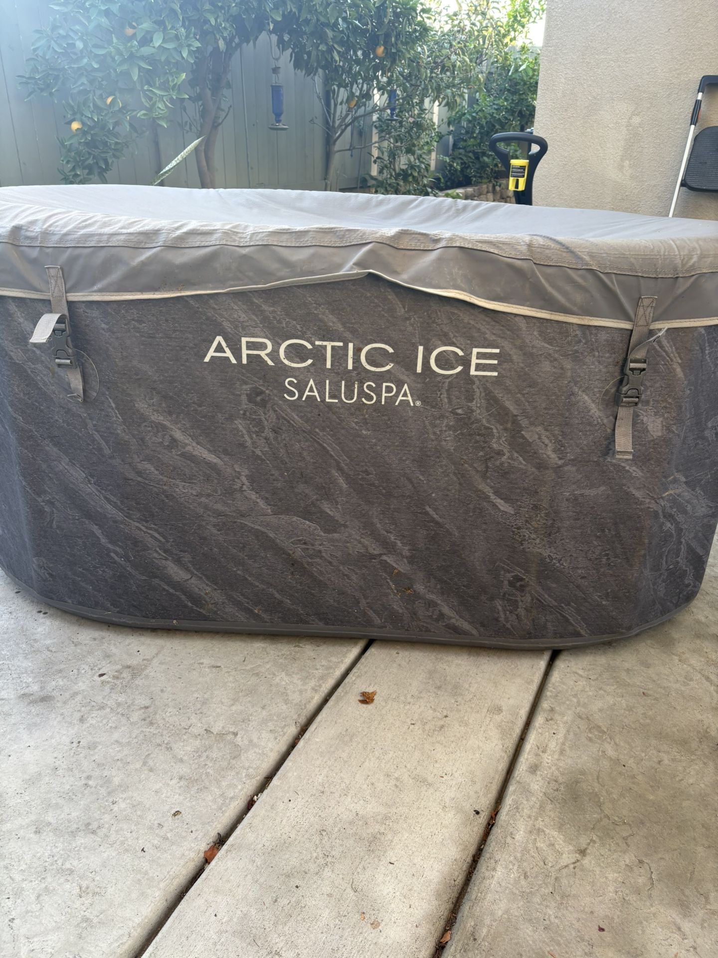 Arctic Ice Saluspa