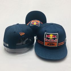 Red Bull KTM 