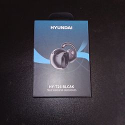 Hyundai Earphones