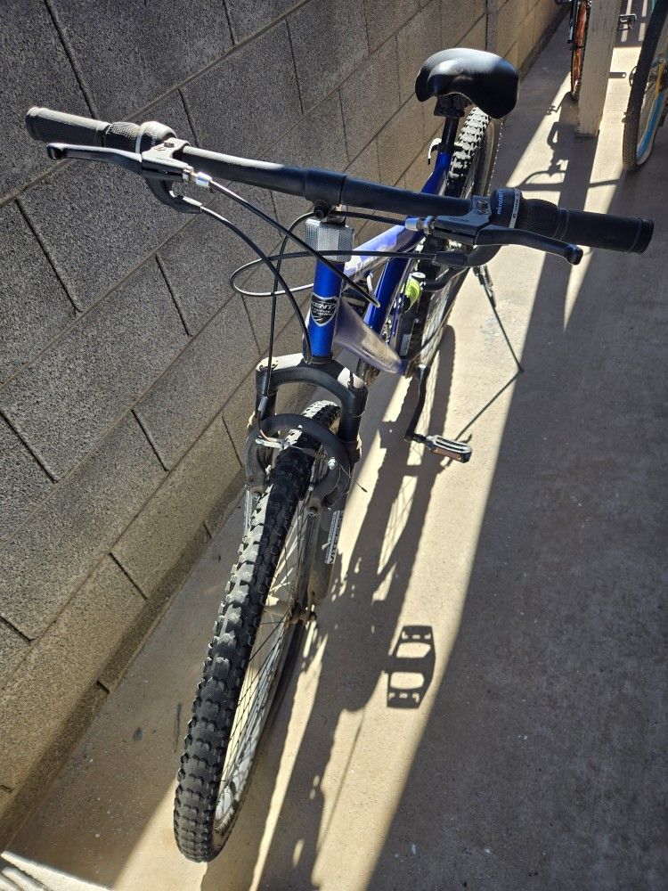 Mountain Bike $90