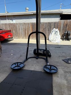 80 Lb Stand + Stand