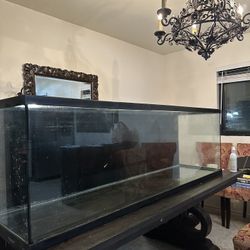 125 Gallon Fish Tank