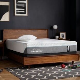 Tempur Pedic 