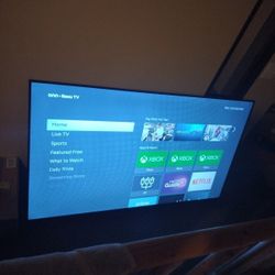 65 Inch Roku Smart TV 