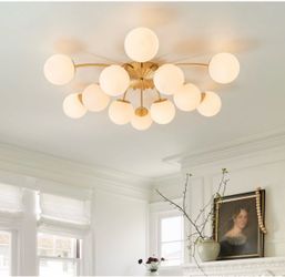 Brand New Light Fixture