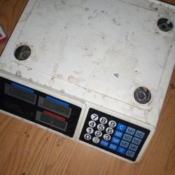 Store Scale